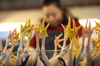 US launches WTO assault on Chinese chicken duties
