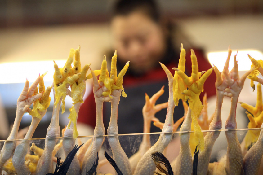 US launches WTO assault on Chinese chicken duties