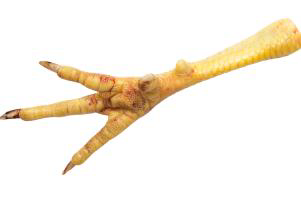 The lesions are primarily caused by wet and sticky litter, leading to damage and burns on the sole of the foot.