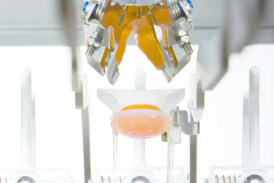Sanovo s new egg breaker for small operations