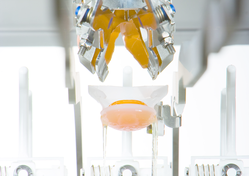 Sanovo s new egg breaker for small operations