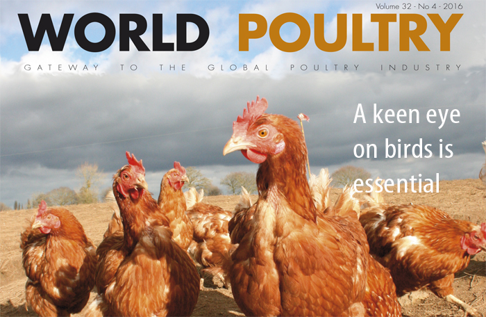 World Poultry 4: Determining pecking order