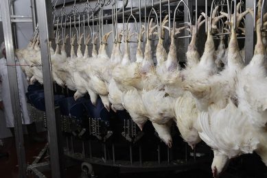 Tajik producers upped their production due to favourable conditions provided by the government. Photo: Hans Prinsen