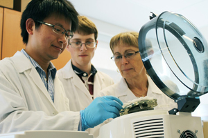 Poultry research translates to vaccine development