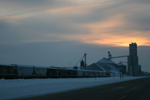 Dark clouds hang over feed availability and prices for the upcoming winter in the US.