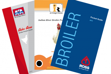 Aviagen launches useful guide for broilers