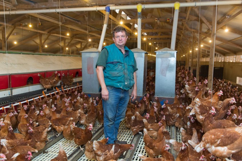 David Perowne suggested the new treatment appears to have lifted egg produciton and quality. Photo: Tim Scrivener