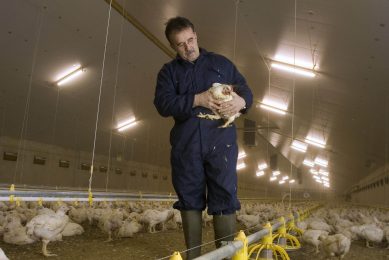 Emerging opportunities for alternative feed additives. Photo: Jan Verhoijsen