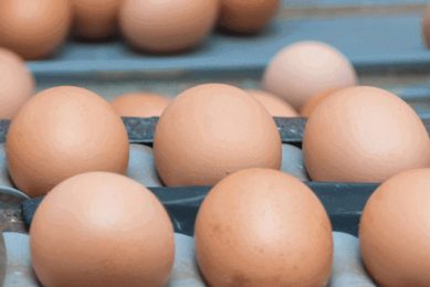 Photo: Treena Hein