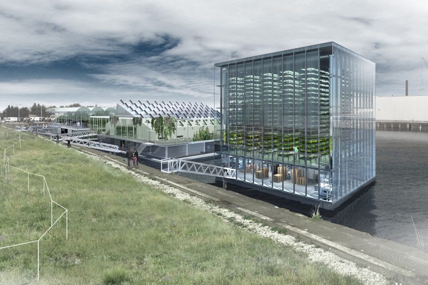 An artist impression gives some insights in to the plans of Floating Farms Holding. In the far background the existing dairy farm, in the middle the egg farm barge and in the front the vertical vegetable farm. Photo: Floating Farm Holding