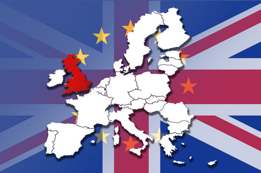Brexit a  massive gamble  for poultry farmers