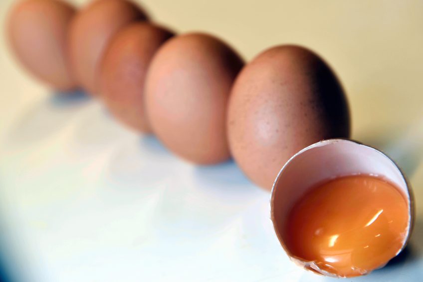 Photo: Belga via ZUMA/REX/Shutterstock