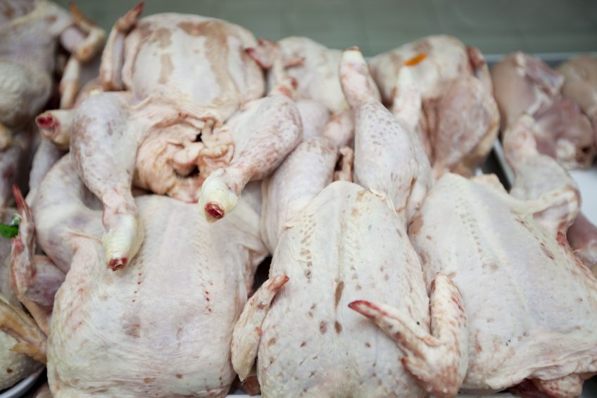 Review of meat cutting plants. Photo: Rex/shutterstock