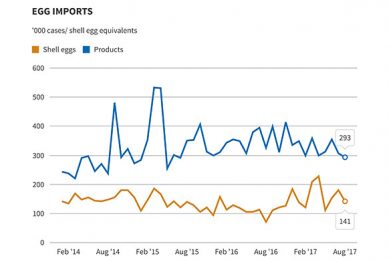 Strong market shows no sign of abating.