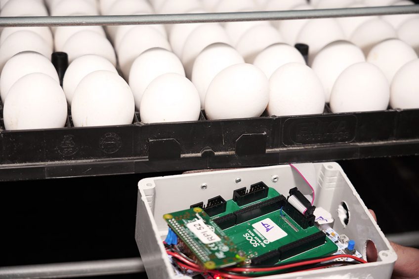Photo: Jordan Kastrinsky, Soos