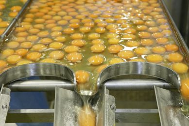 Alpha-amylase activity, and the microbiological quality of the samples was evaluated by estimating total and thermos tolerant coliforms, mesophilic aerobic microorganisms, Staphylococcus spp and Salmonella spp. Photo: Henk Riswick
