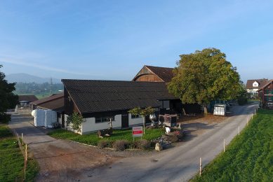 Most Swiss farms are relatively small scale. Add to that the challenges of mountain farming and a higher cost price needs to be offset in retail. Photo: Henk Riswick