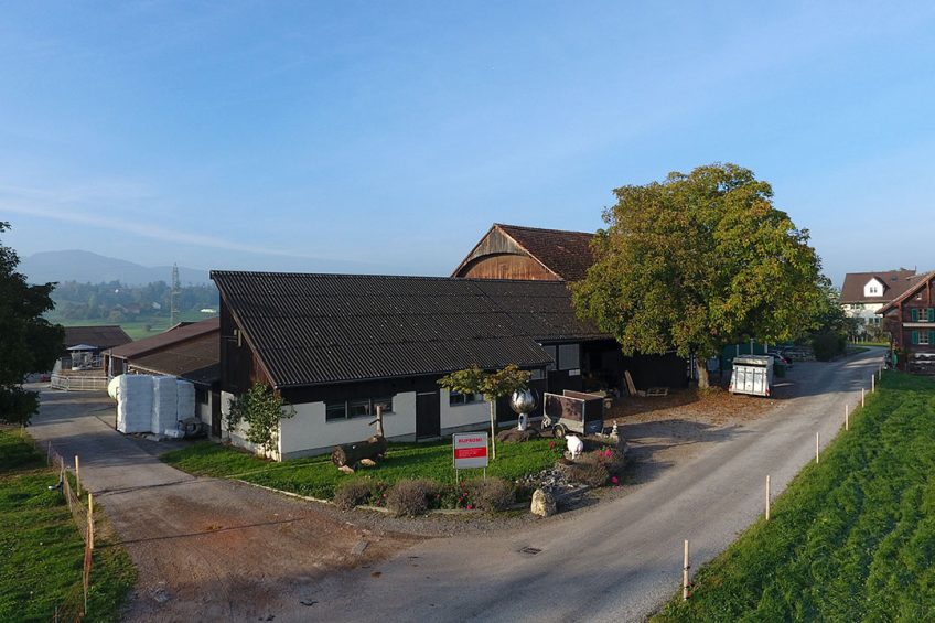 Most Swiss farms are relatively small scale. Add to that the challenges of mountain farming and a higher cost price needs to be offset in retail. Photo: Henk Riswick