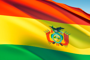 Bolivia: Grain shortage causes chicken meat price hike