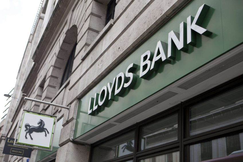 Bankers keen to lend cash to UK poultry sector