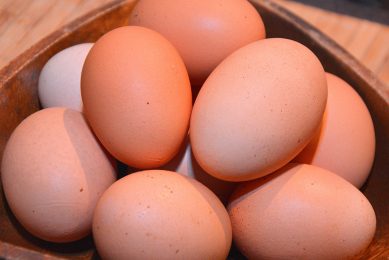 With egg shelves in supermarkets empty, many consumers flock to farms. Photo: Chris McCullough