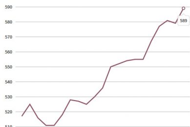Markets: Egg sector feels the pain as prices sink