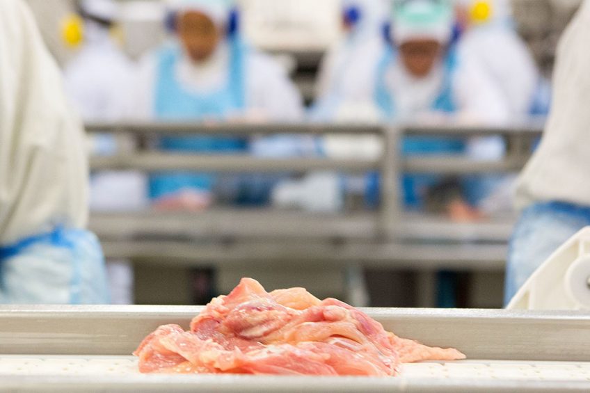 According to Brazilian officials poultry meat produced in Brazil undergoes serious quality control. Photo ANP
