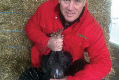 Kelly s Turkeys star in new 'A Year on the Farm' TV programme