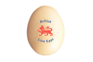 UK TV campaign reaps rewards for egg sector