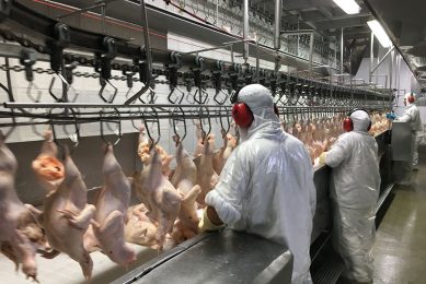 From now going forward, if the ceiling for the tariff-free Ukrainian chicken fillet with or without bone has been reached, import duties will have to be paid on the rest of the export. Photo: Fabian Brockotter