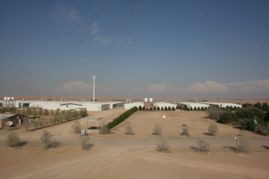Egg production in the UAE – an inside view