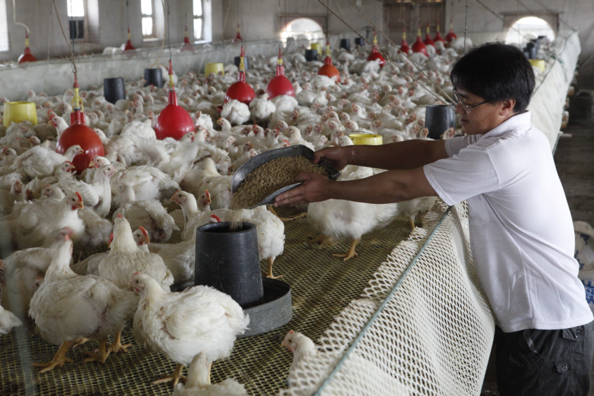 Fighting AGP fears with facts in Asia