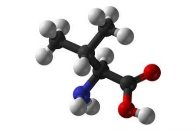 Valine for Broilers