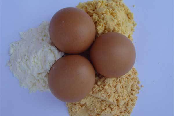 UK turns to processed eggs to fill the gap