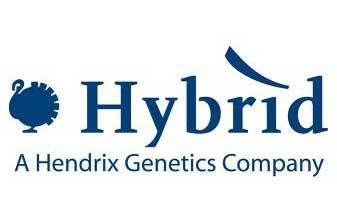 Hybrid Turkeys expands in Europe