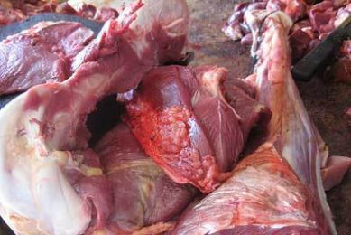 South Africa suspends ostrich meat exports