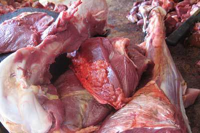 South Africa suspends ostrich meat exports