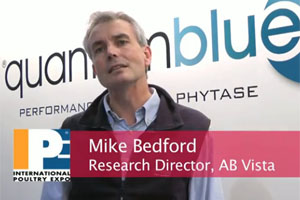 60 Second V-Report: AB Vista