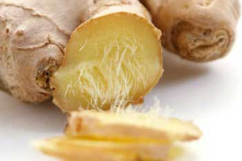 Potential applications of ginger (Zingiber officinale) in poultry diets