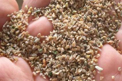 Feeding value of guar meal and the application of enzymes in improving nutritive value for broilers