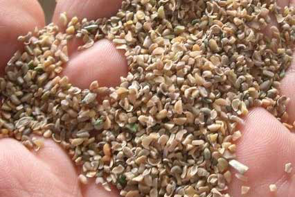 Feeding value of guar meal and the application of enzymes in improving nutritive value for broilers