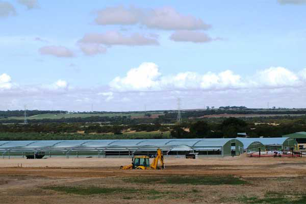 Spanlift revolutionises poultry buildings