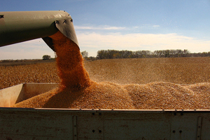 US poultry org submits comments in favour of RFS waiver