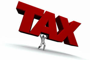 Cherkizovo commends Russian zero tax rate on profits