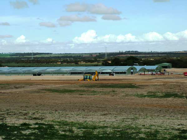 Spanlift revolutionises poultry buildings