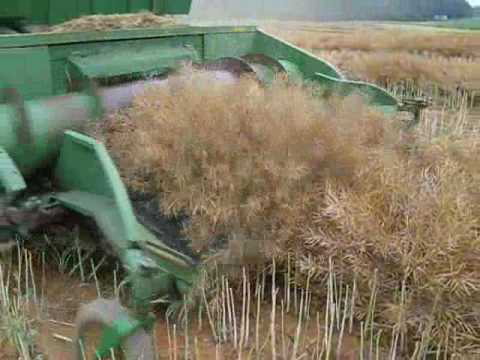 Temasek to invest in Indian agri-business