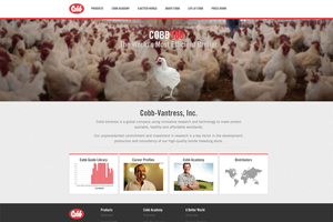 Cobb-Vantress launches digital media strategy