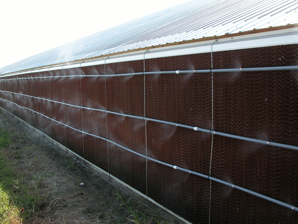 Plastic less effective than paper evaporative cooling pads