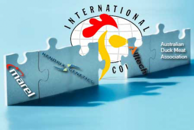 Four new associate members IPC
