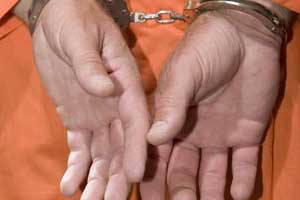 New Zealand: Police raid illegal poultry operation